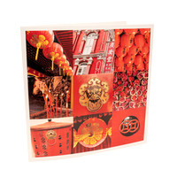 Singapore Lanterns Postcard